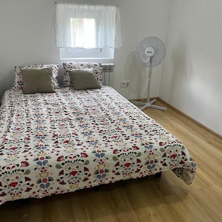 Green Apartment - Free Parking カトヴィツェ エクステリア 写真