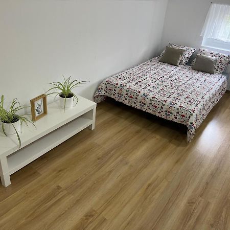 Green Apartment - Free Parking カトヴィツェ エクステリア 写真