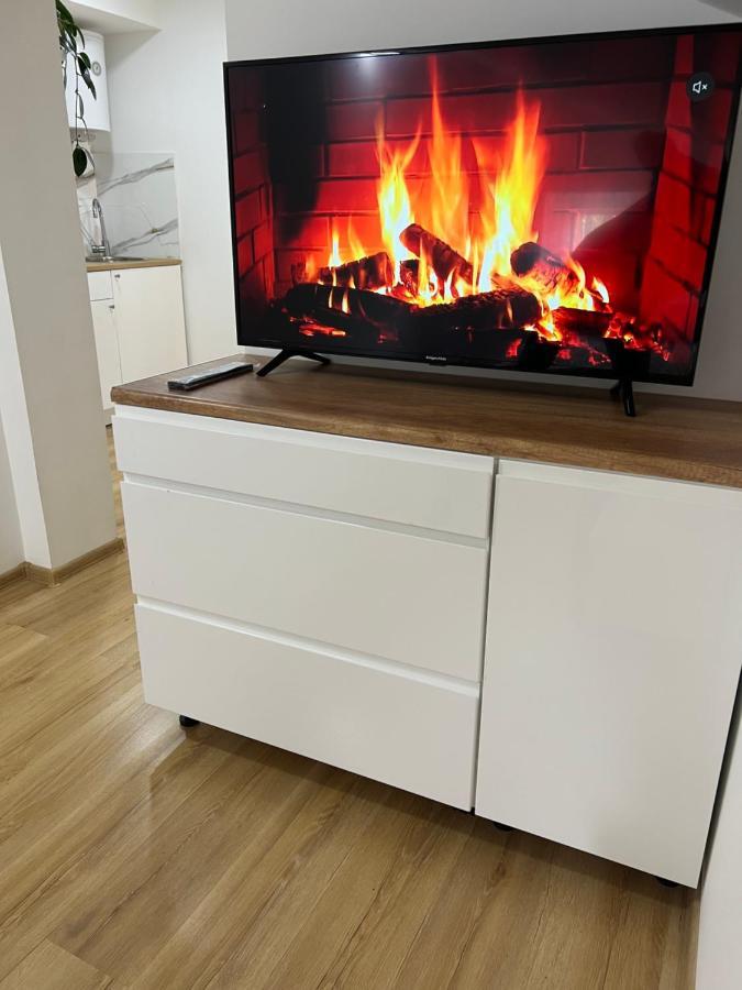 Green Apartment - Free Parking カトヴィツェ エクステリア 写真