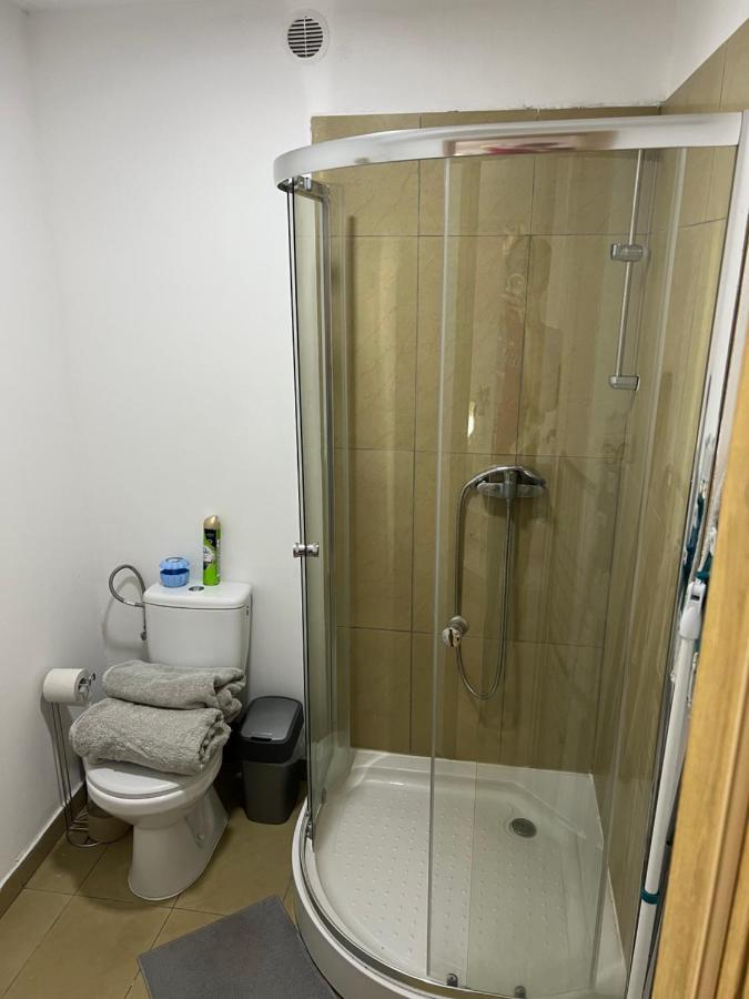 Green Apartment - Free Parking カトヴィツェ エクステリア 写真